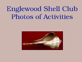 Englewood Shell Club Activities