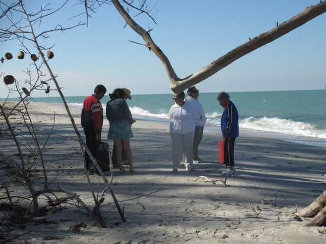 ESC Members Shelling on Palm Island - Feb 28 - 2014 - Slide 12