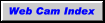 Weather Cams