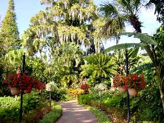 Cypress Gardens November 2002 - Slide 2