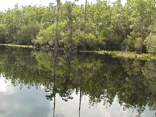Georgia Trip ( 1999 ) #1