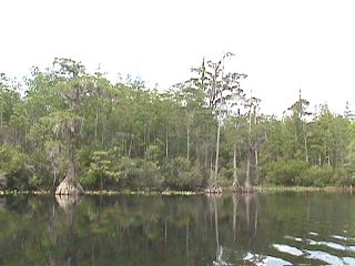 Georgia Trip ( 1999 ) #5