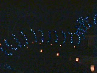 Christmas Luminaries Gulf to Bay 1999 #28