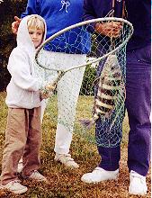 Joshua's Fish