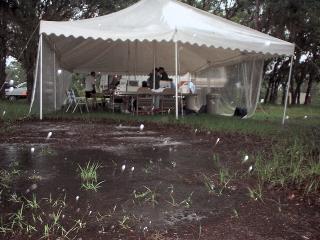 EARS Field Day 2002 Slide 26