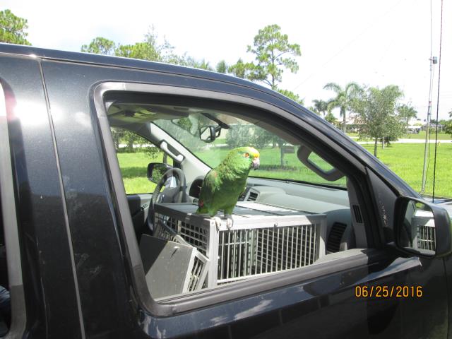 EARS Field Day 2016 <br> Photos by Vic K4VHX - Slide 16