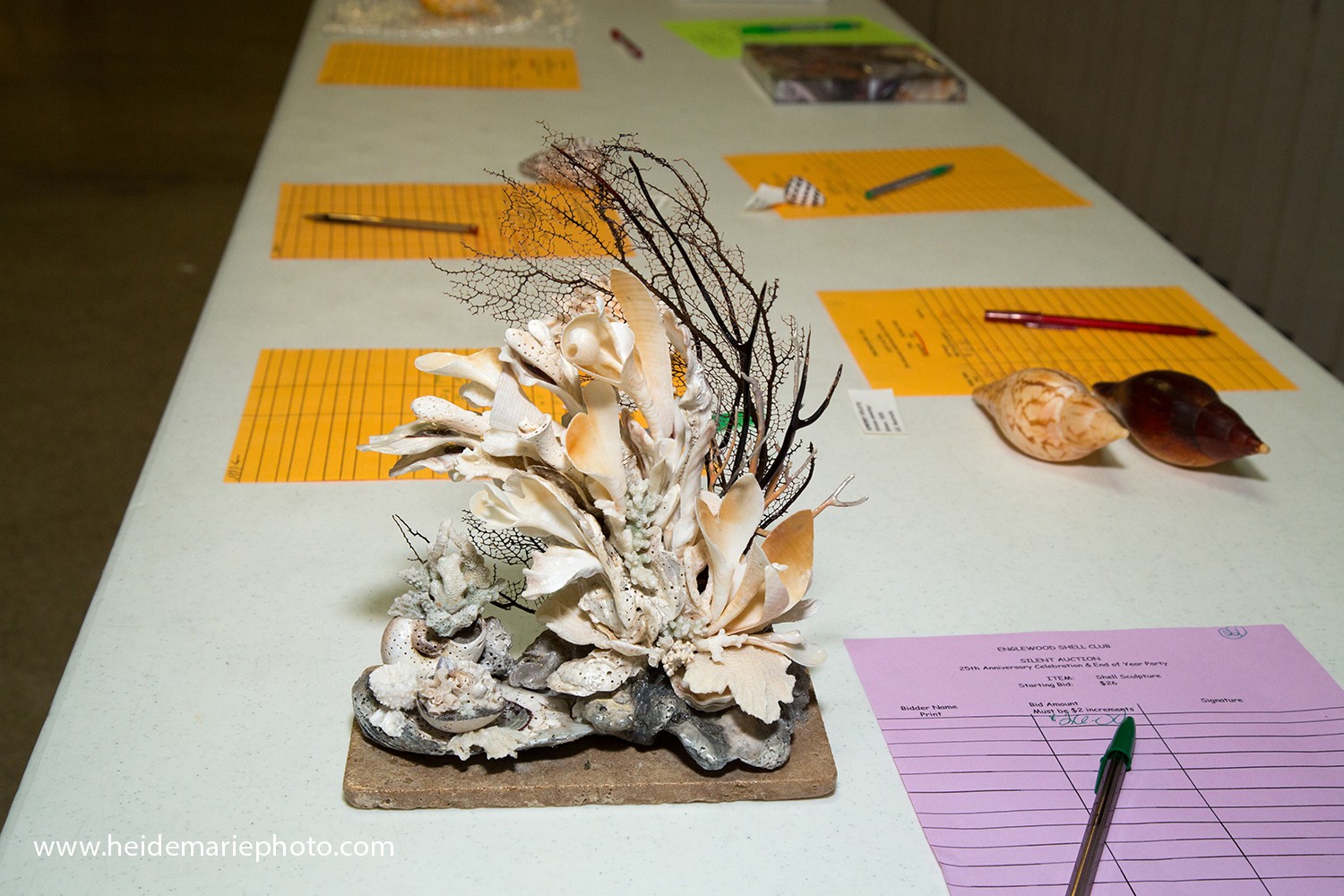 Englewood Shell Club<br>25th Anniversary Party Part 1 - Slide 28