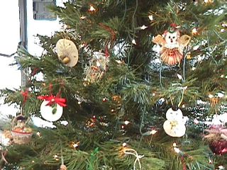 Photo Video Slide #6