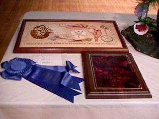 Photo Video Slide #17