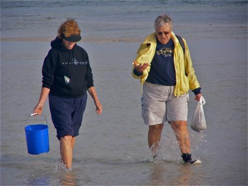 Good shelling. - Slide 23