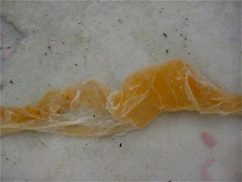 This is not plastic, but I don't know what it is.  It was about a yard long. - Slide 31