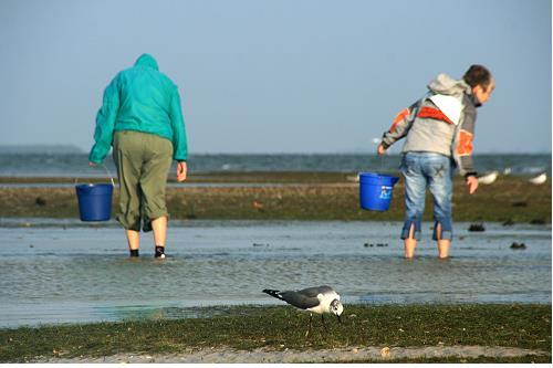 Carefree Learner Photos by Captain's Daughter Diane - Slide 2