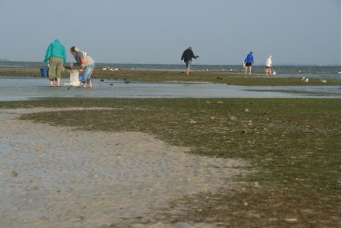 Carefree Learner Photos by Captain's Daughter Diane - Slide 3