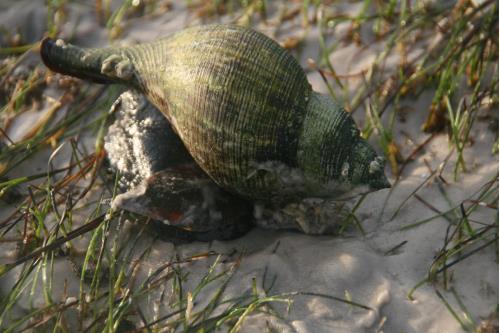 Carefree Learner Photos by Captain's Daughter Diane - Slide 4