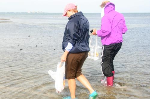 Carefree Learner Photos by Captain's Daughter Diane - Slide 10