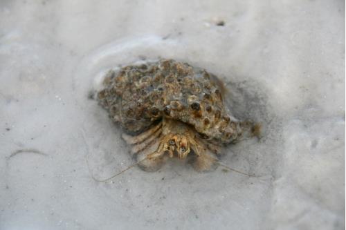 Carefree Learner Photos by Captain's Daughter Diane - Slide 13