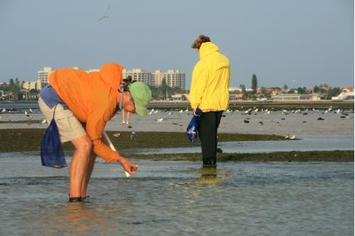 Carefree Learner Photos by Captain's Daughter Diane - Slide 21