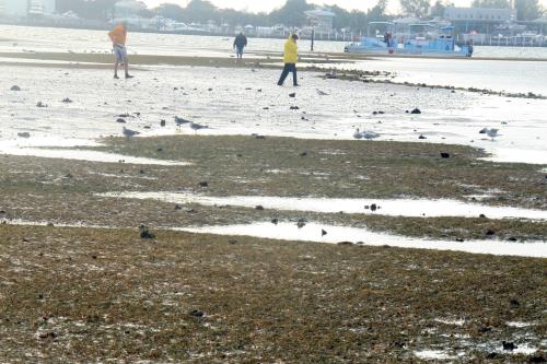 Carefree Learner Photos by Captain's Daughter Diane - Slide 46