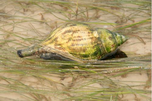 Carefree Learner Photos by Captain's Daughter Diane - Slide 57