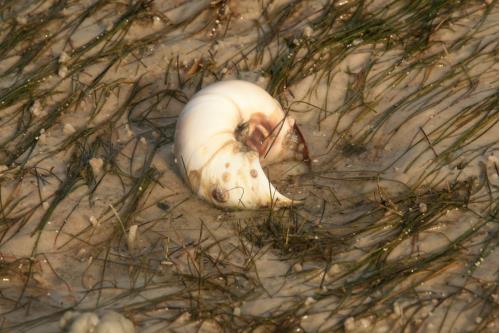 Carefree Learner Photos by Captain's Daughter Diane - Slide 58