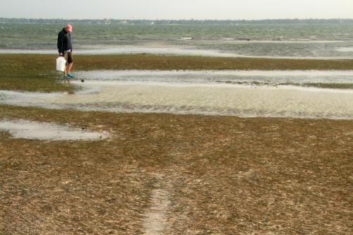 Carefree Learner Photos by Captain's Daughter Diane - Slide 59