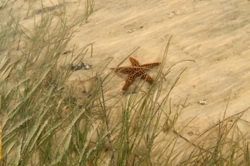 Carefree Learner Photos by Captain's Daughter Diane - Slide 60