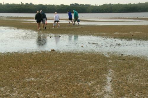 Carefree Learner Photos by Captain's Daughter Diane - Slide 62