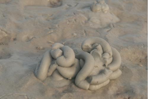 Carefree Learner Photos by Captain's Daughter Diane - Slide 85