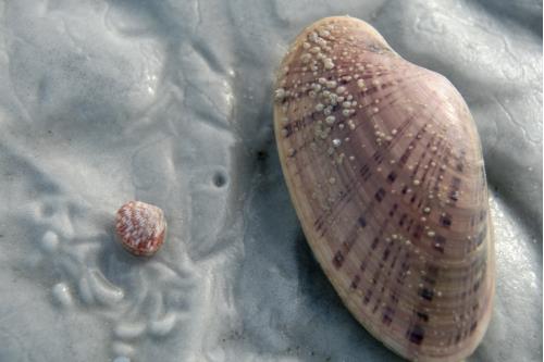 Carefree Learner Photos by Captain's Daughter Diane - Slide 86