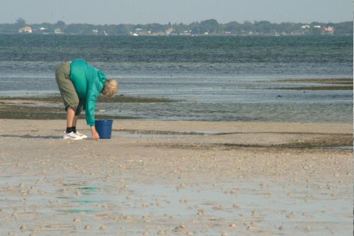 Carefree Learner Photos by Captain's Daughter Diane - Slide 91