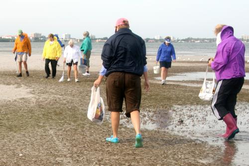 Carefree Learner Photos by Captain's Daughter Diane - Slide 98