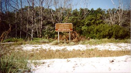 Englewood Shell Club Cayo Costa Trip 