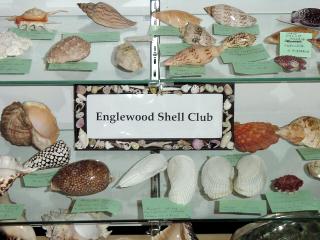 Shirley Ryan Shell Display at Cedar Point Slide 2