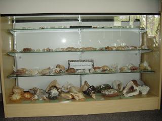 Shirley Ryan Shell Display at Cedar Point Slide 16