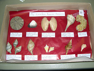 Englewood Shell Club Events - Slide 11