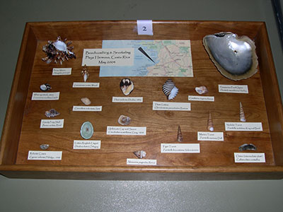 Englewood Shell Club Events - Slide 15