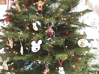 Club Tree at Cedar Point  - Slide 19