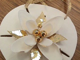 Englewood Shell Club Events - Slide 20