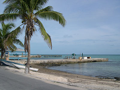 Shell Key Tampa Area  - Slide 2