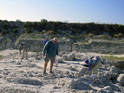 Englewood Shell Club Field Trips - Slide 9