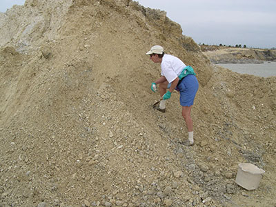 Englewood Shell Club Field Trips - Slide 10