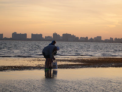 Englewood Shell Club Field Trips - Slide 12