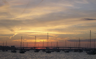 Englewood Shell Club Field Trips - Slide 16