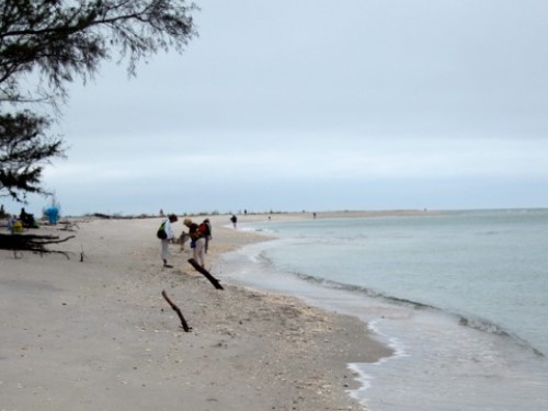 Shelling Palm Island Nov 16 2012 - Slide 10