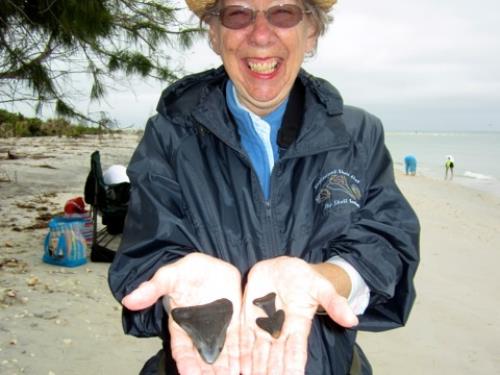 Shelling Palm Island Nov 16 2012 - Slide 13