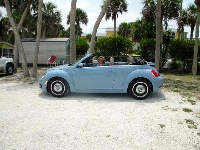 Englewood Shell Club 2014 Picnic - Slide 19