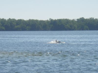 Shell Club Sanibel Trip November 23 2009 - Slide 12