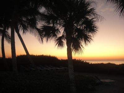 Shell Club Sanibel Trip November 23 2009 - Slide 46