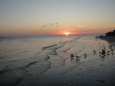 Shell Club Sanibel Trip November 23 2009 - Slide 57