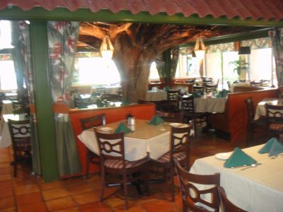 Shell Club Sanibel Trip November 23 2009 - Slide 65